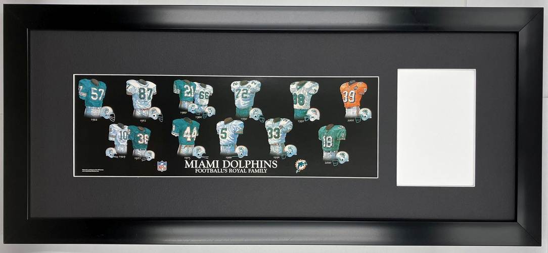 miami dolphins-1