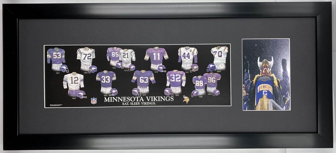 minnesota vikings-2