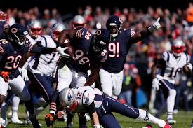 bears 32
