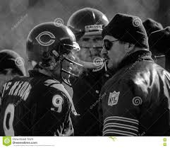 bears 30