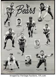 bears 28