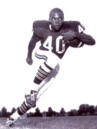 bears 26