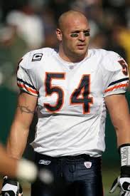 bears 24