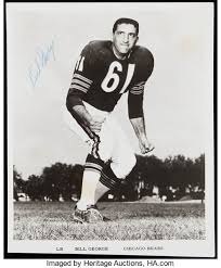 bears 20