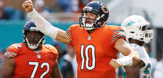 bears 18