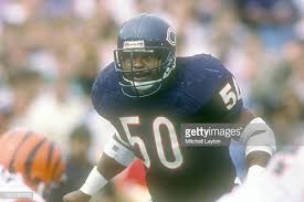 bears 15