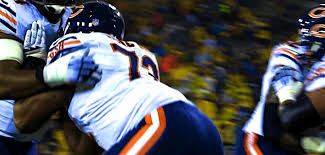 bears 9