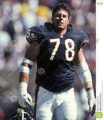 bears 8