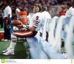 bears 4