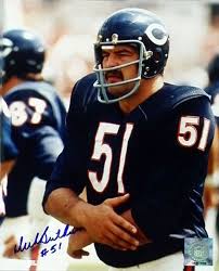 bears 36