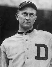 tigers 8